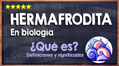 Hermafroditos cam4